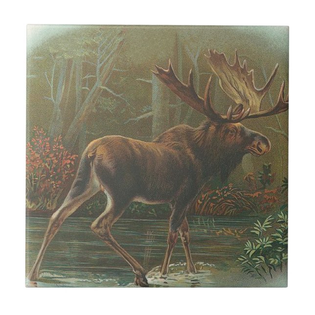 Moose Tile (Front)