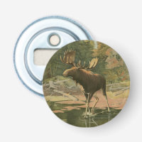 Moose Walking in Water