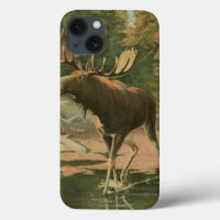 Moose Walking in Water