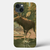 Moose Walking in Water