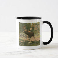 Moose Walking in Water