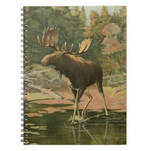 Moose Walking in Water Spiral Notebook