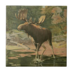 Moose Walking in Water Tile<br><div class="desc">Do you live far away from nature? This beautiful and yet classical image gives an impression of peacefulness and the colours of the moose walking in water are accurate which makes this image very realistic. Get this nature styled art on your favourite products!</div>