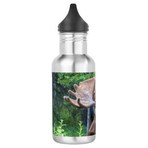 Moose water bottle
