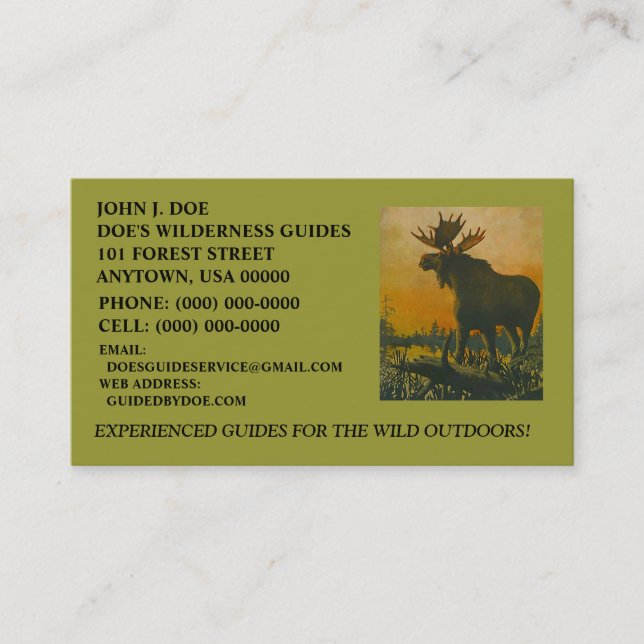 MOOSE WILDERNESS OUTDOOR SERVICES ~ BUSINESS CARD (Front)