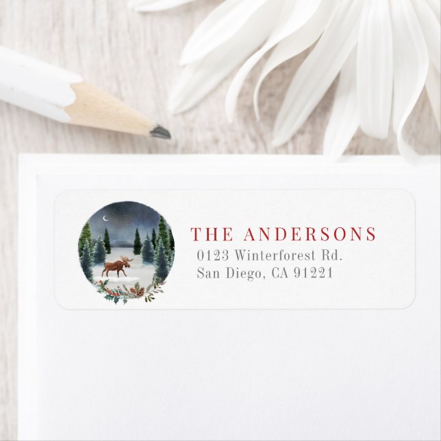 Moose Winter Night Forest Return Address (Insitu)