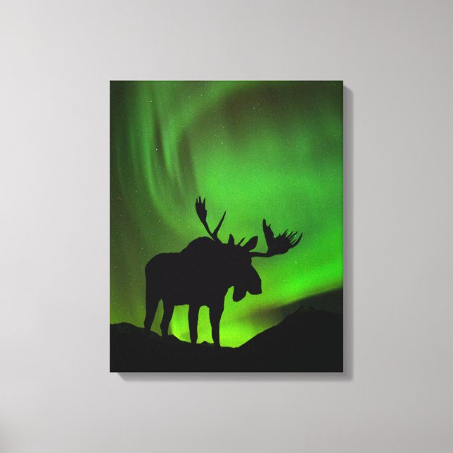 Moose with Green Aurora Borealis, Alaska Canvas Print (Front)