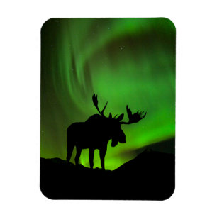 Moose with Green Aurora Borealis, Alaska Magnet
