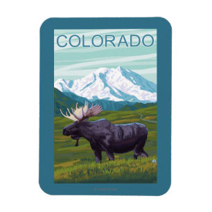 Moose with MountainColorado Magnet