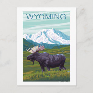 Moose with MountainWyoming Postcard