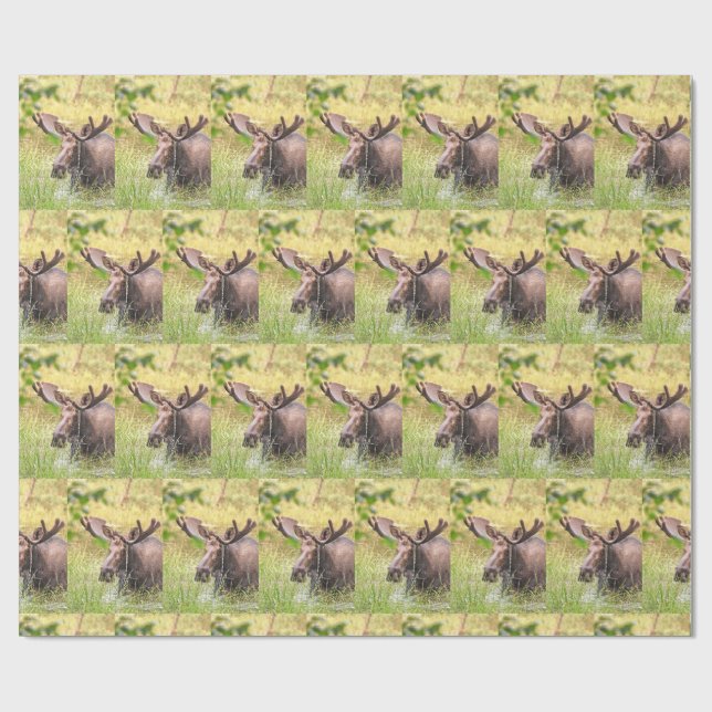 moose wrapping paper (Flat)