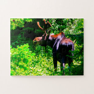 Moose Wyoming Jigsaw Puzzle