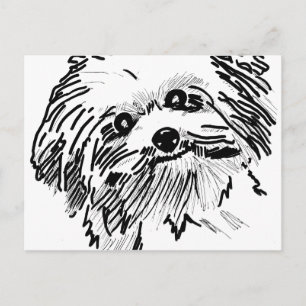 Mop Dog Postcard