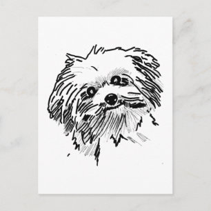 Mop Dog Postcard