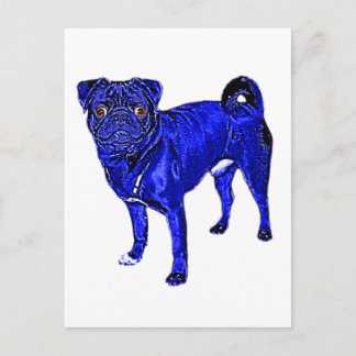 Mops Jack in Blau Postcard