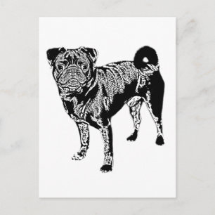 Mops Jack monochrom Postcard