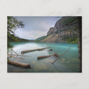 Moraine Lake Postcard