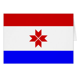 Mordovia Flag