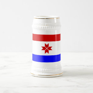Mordovia Flag Beer Stein