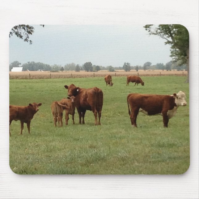 more brown cows mouse pad (Front)