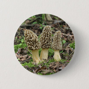 More Morels 6 Cm Round Badge