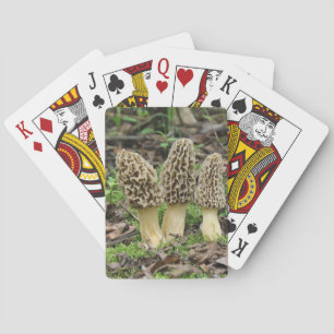 More Morels Playing Cards