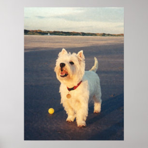 More Please!  Westie Ball Poster