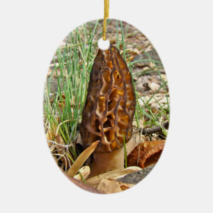Morel Mushroom Ceramic Tree Decoration