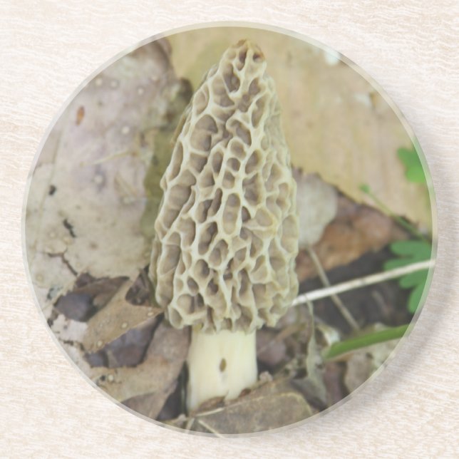 Morel Mushroom Coaster (Front)