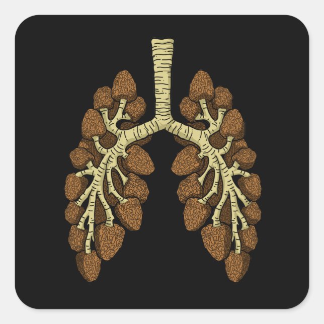 Morel Mushroom Gift Mens Morel Mushroom Hunter Square Sticker (Front)