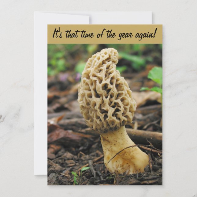 Morel Mushroom Hunting Invitation (Front)