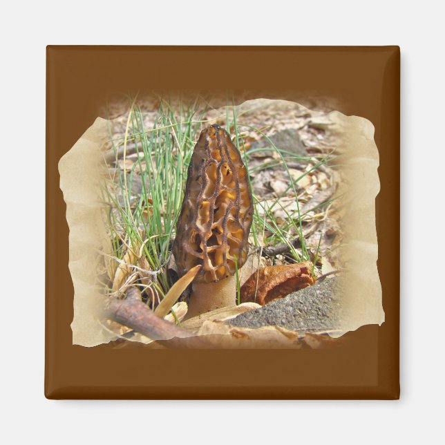 Morel Mushroom Magnet (Front)