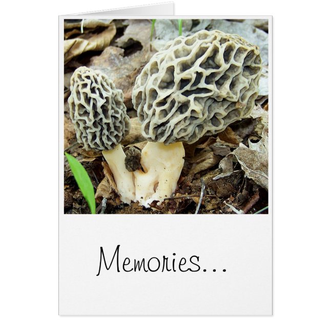 Morel Mushroom Memories (Front)