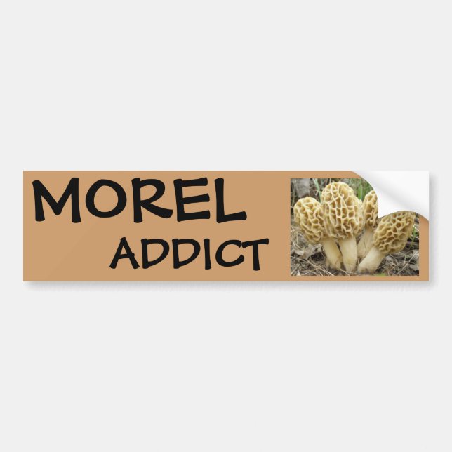 Morel mushrooms bumper sticker (Front)
