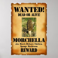 Morel - Wanted Dead or Alive