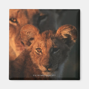 Moremi Wildlife Reserve, Botswana 2 Magnet