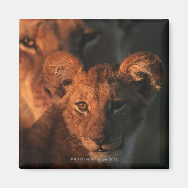Moremi Wildlife Reserve, Botswana 2 Magnet (Front)