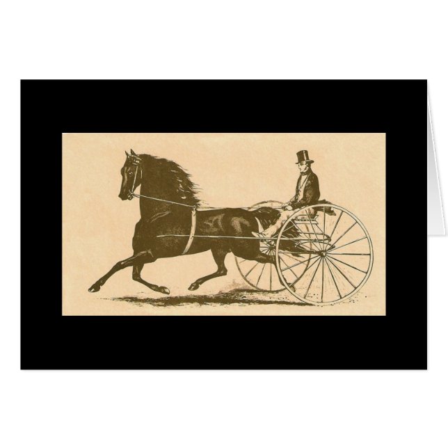 Morgan Americana (Front Horizontal)