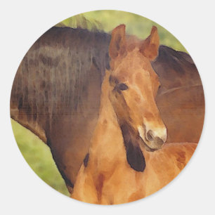 Morgan foal sticker