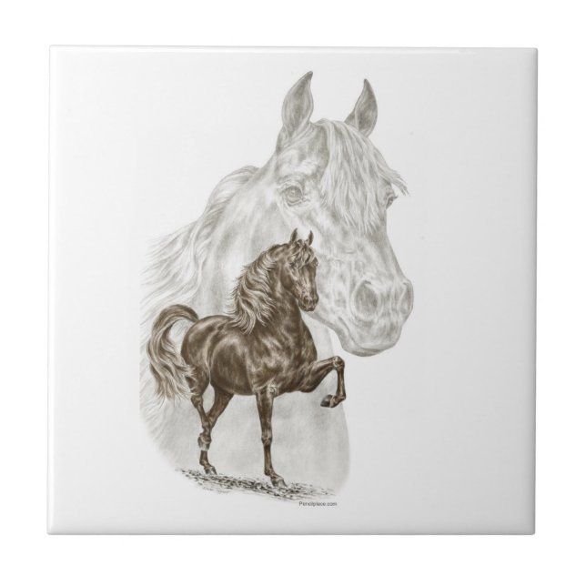 Morgan Horse Art Tile (Front)