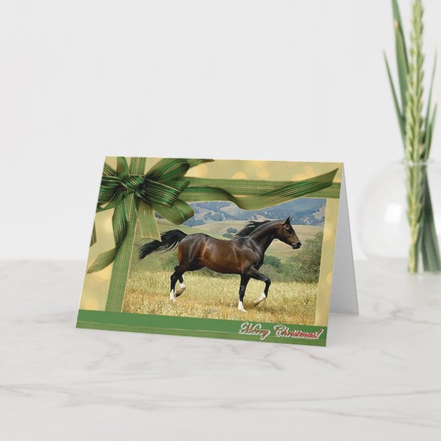 Morgan Horse Blank Christmas Card (Front)