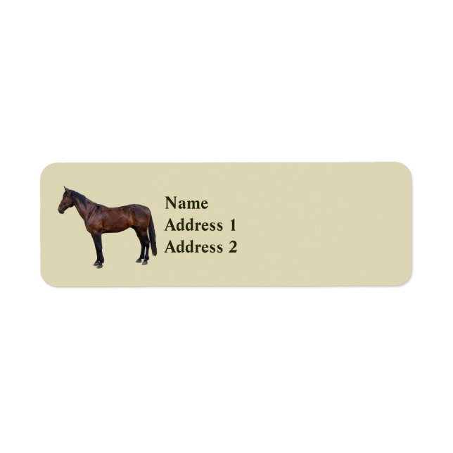 Morgan Horse in Profile (Front)
