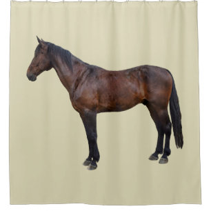 Morgan Horse in Profile Shower Curtain