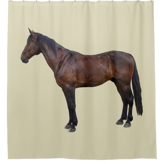 Morgan Horse in Profile Shower Curtain (Front)