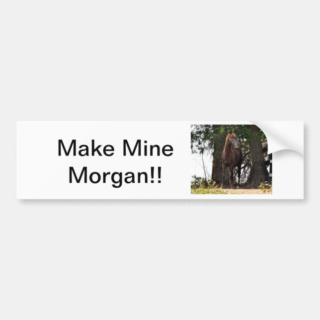 Morgan Horse Products!! Bumper Sticker (Front)