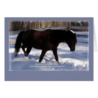 Morgan Horse Winter Wonderland Blank
