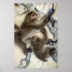 Mori Sosen Monkeys in a Blossoming Cherry Tree Poster