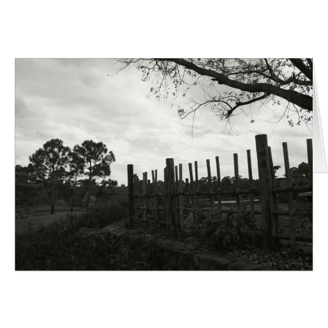 Morikami in Black & White (Front Horizontal)