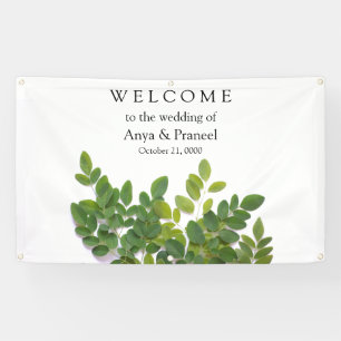 Moringa leaves with text space banner