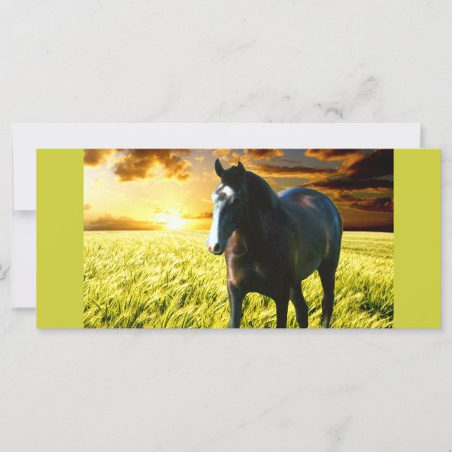 MORISCO AT SUNSET Rack Card (Front)